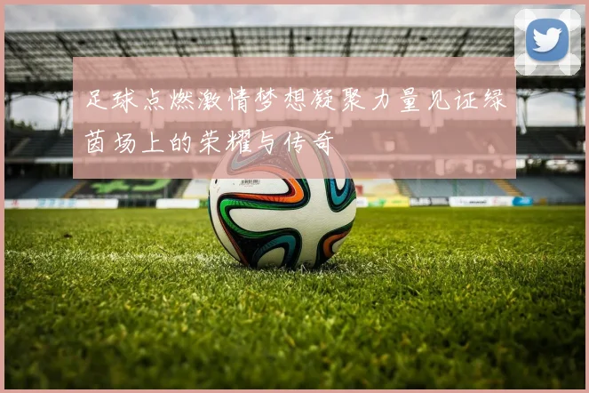 足球点燃激情梦想凝聚力量见证绿茵场上的荣耀与传奇