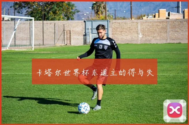 卡塔尔世界杯东道主的得与失